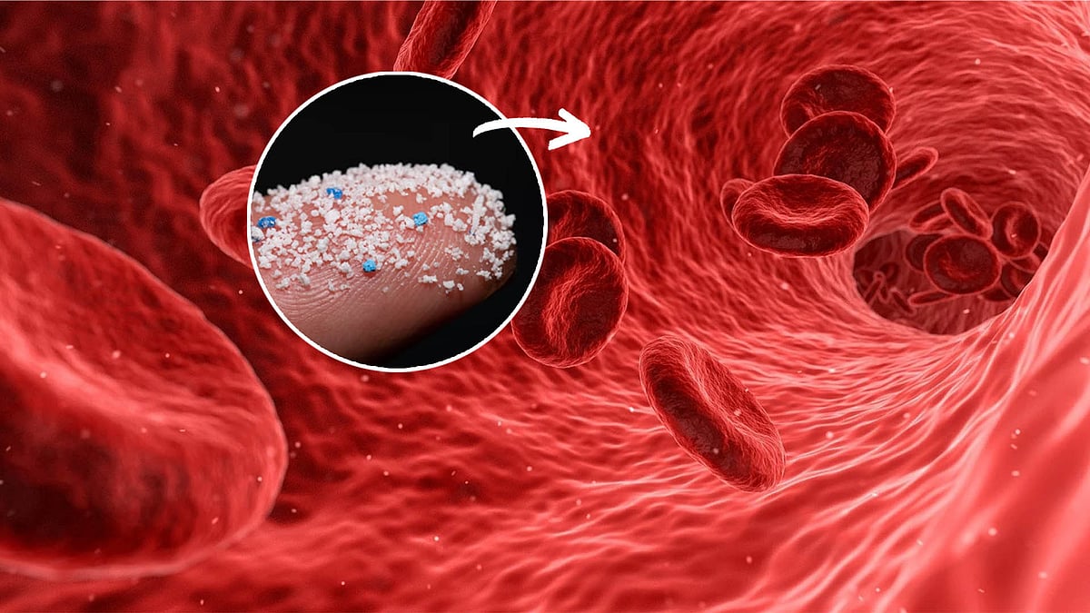 How microplastics get into the blood, and how to avoid them