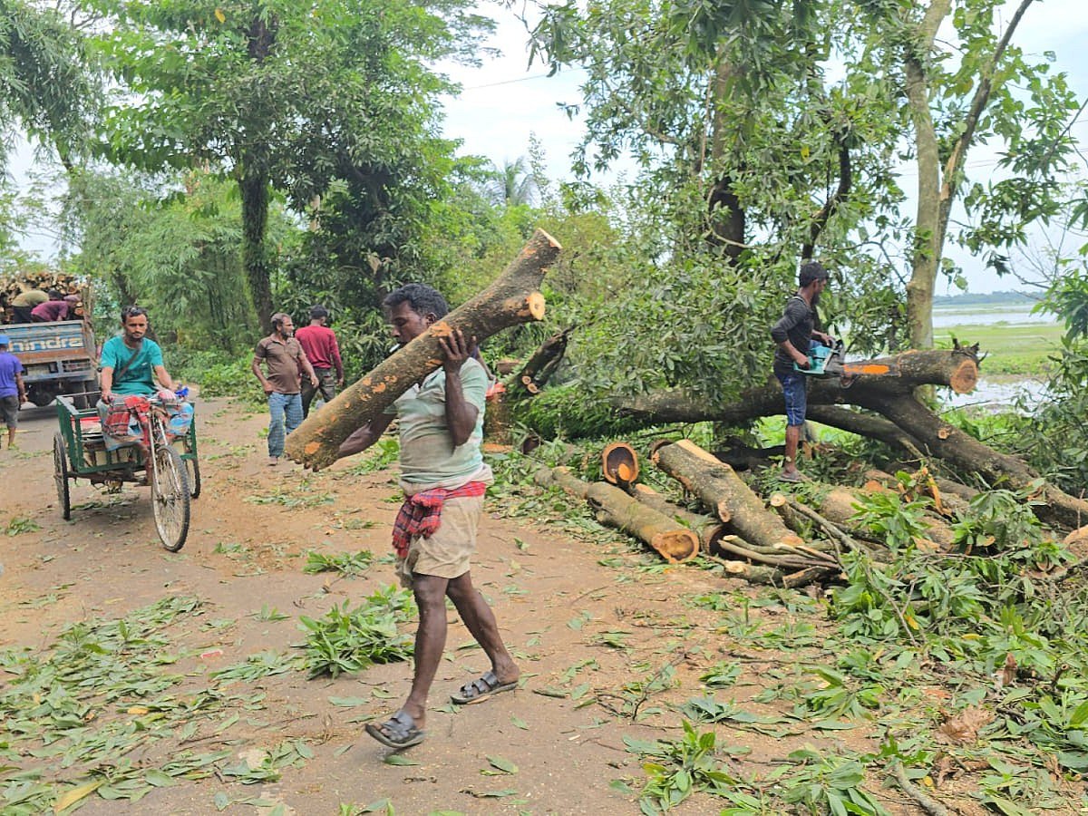 Rally in Sunamganj against the felling of some 4,500 roadside trees