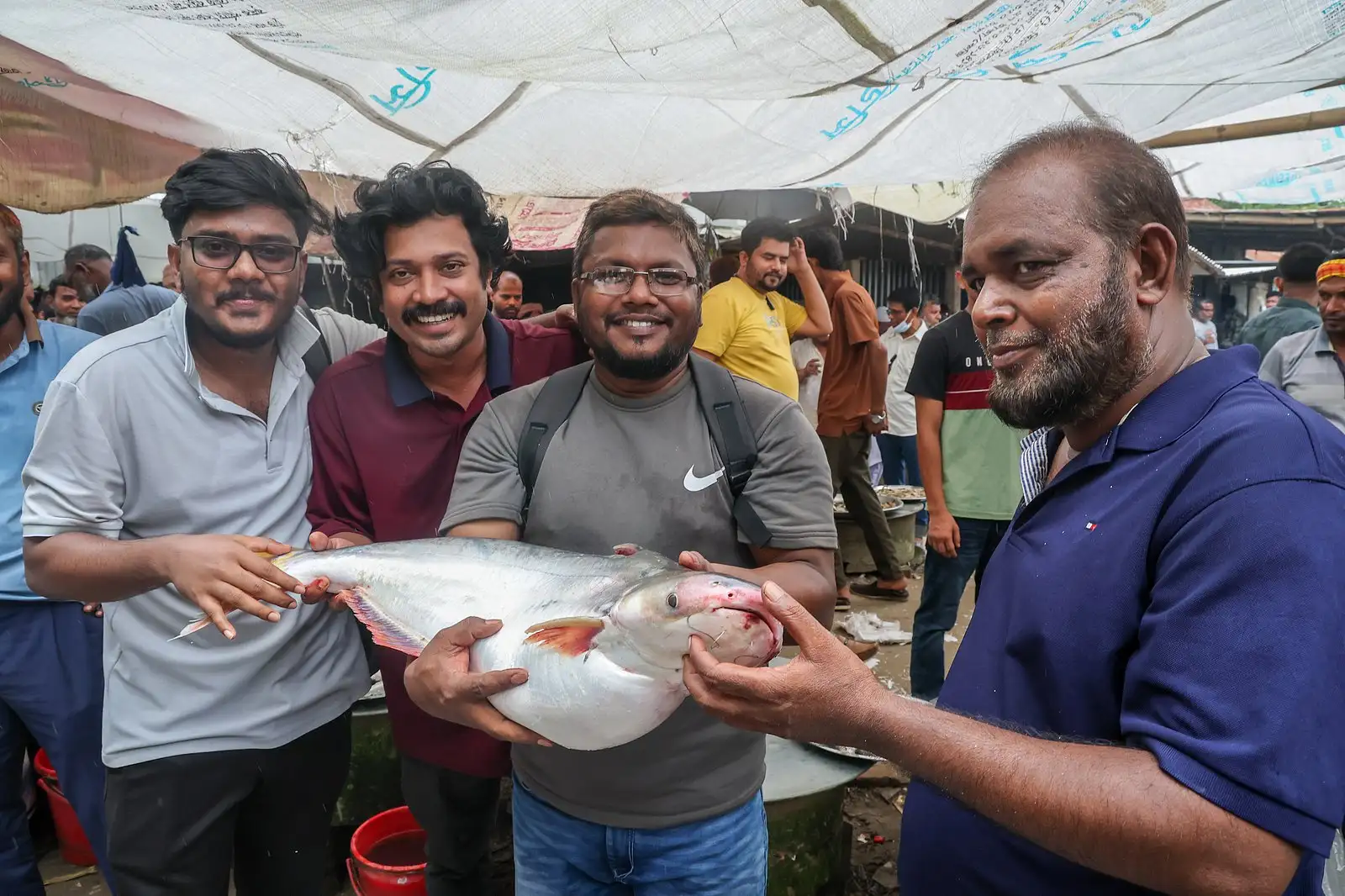 পদ্মার ইলিশের হাটে টাটকা মাছের পসরা