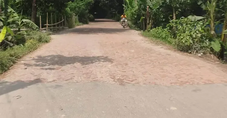 কার্পেটিংয়ের ওপর ইটের সোলিং, তীব্র ঝাঁকুনিতে চলাচল