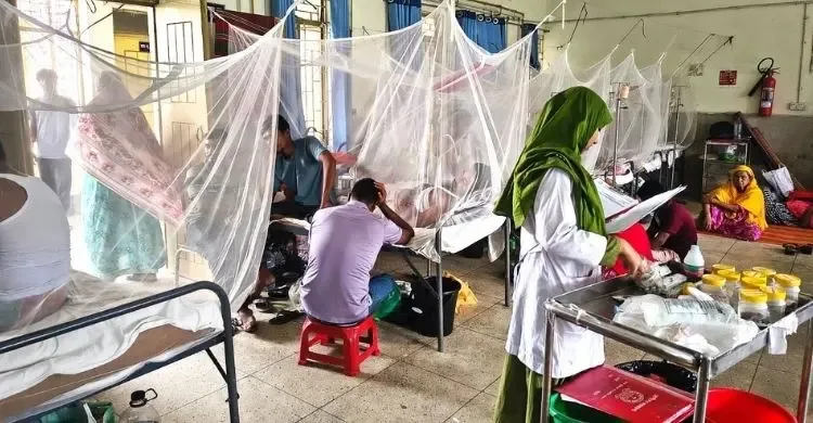 দুই মাসেই এডিসের ঘনত্ব দ্বিগুণ, রাজশাহীতে ডেঙ্গুর উচ্চ ঝুঁকি