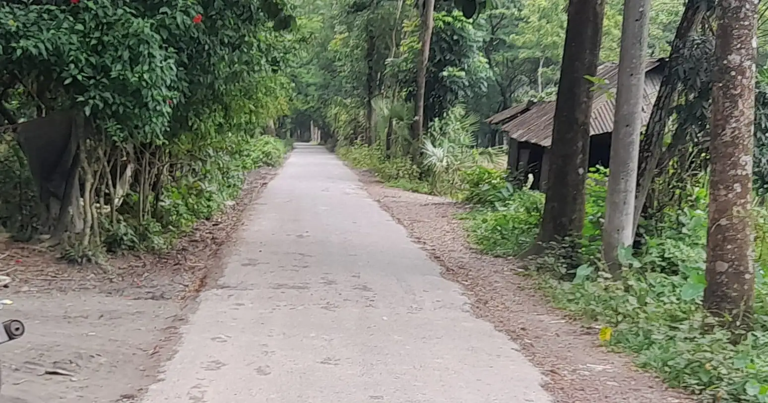 গ্রামের নাম ‘ধানের শিষ’, এমন অদ্ভুত নামকরণের পেছনে যে কাহিনি